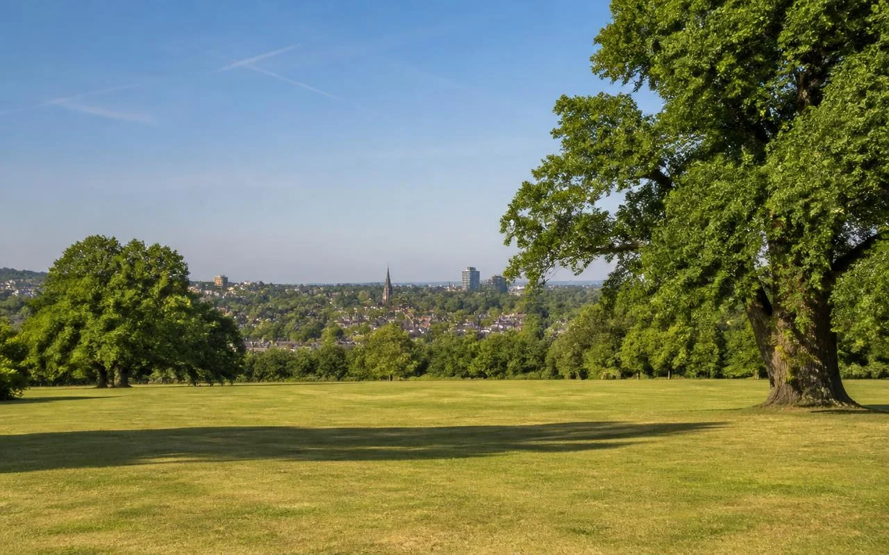 Open mown grass and mature trees on Streatham Common, south London