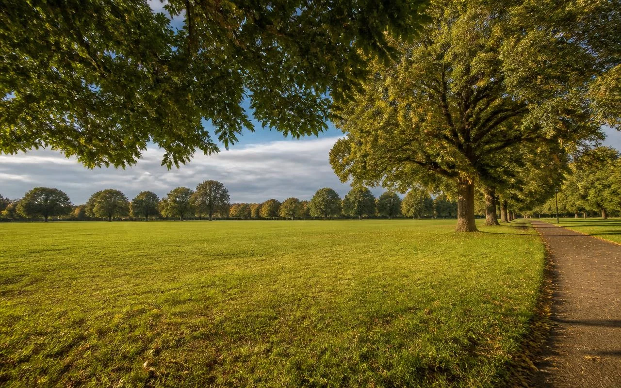 Trees, a path and open grass on Wandsworth Common, south west London